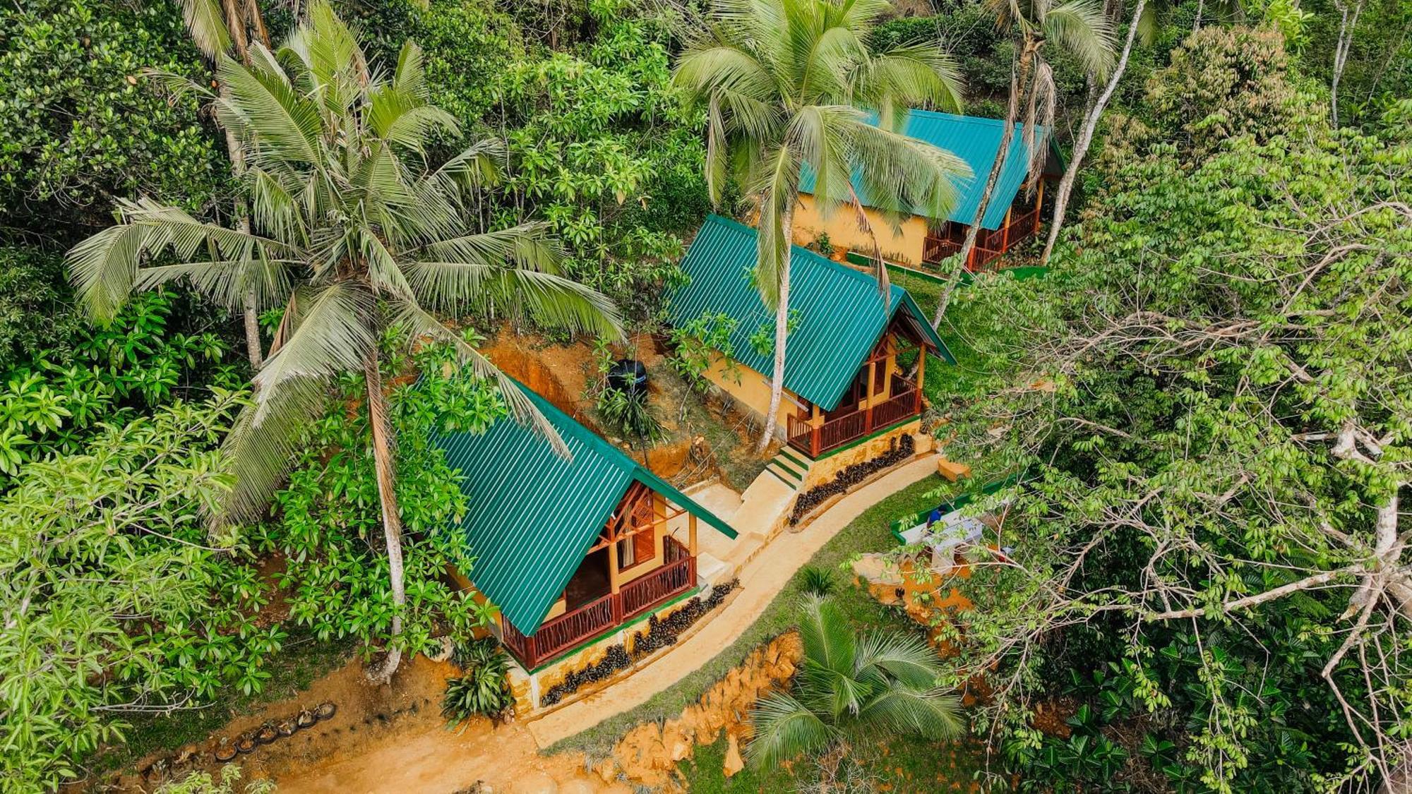 The Rainforest Hideaway Deniyaya Exterior photo
