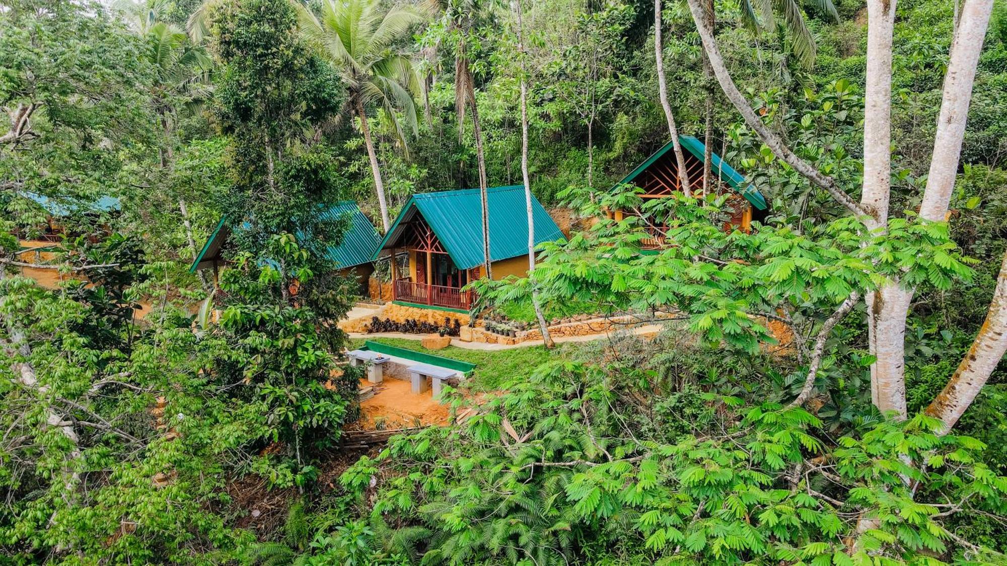 The Rainforest Hideaway Deniyaya Exterior photo