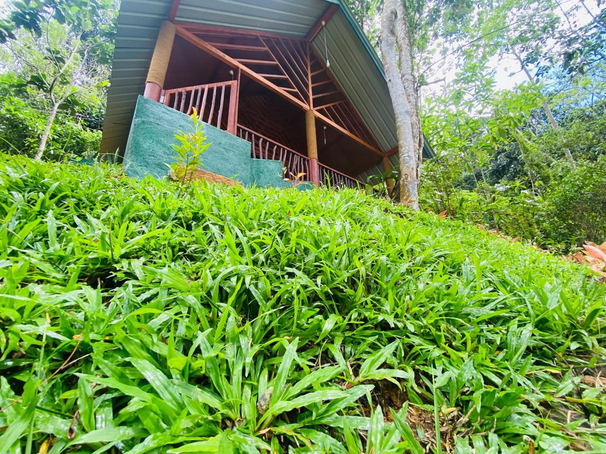 The Rainforest Hideaway Deniyaya Exterior photo