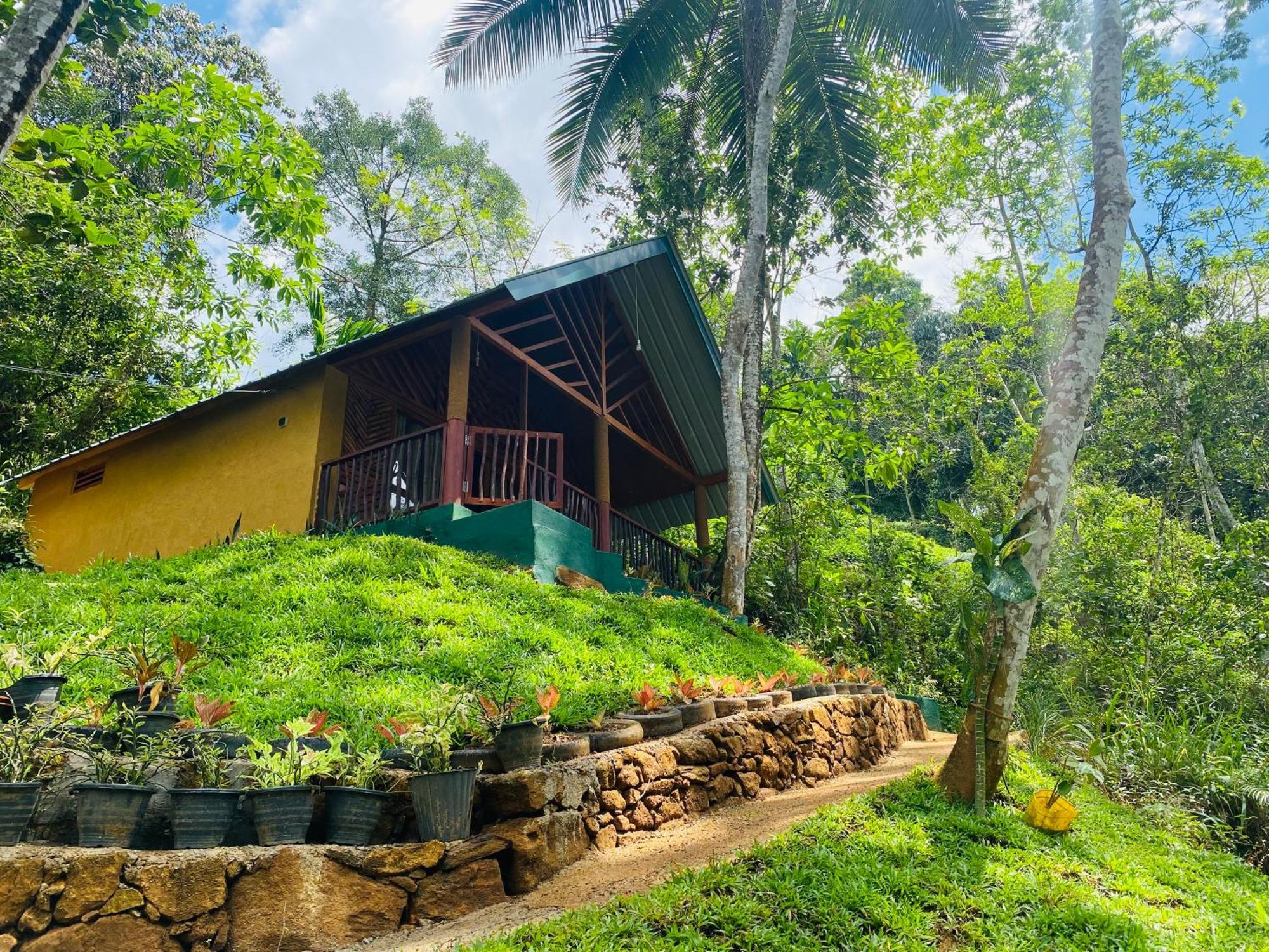The Rainforest Hideaway Deniyaya Exterior photo